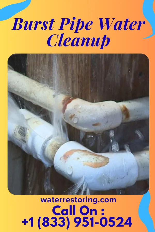 Burst Pipe Water Cleanup in Philo, IL