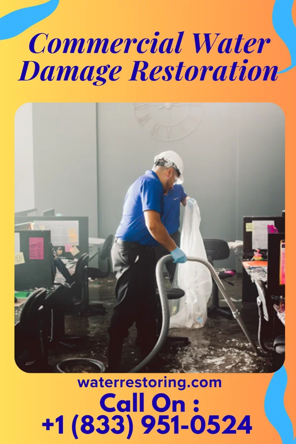 Commercial Water Damage Restoration in Philo, IL