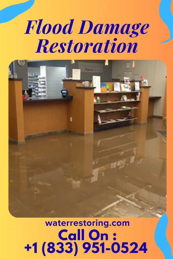 Flood Damage Restoration in Philo, IL