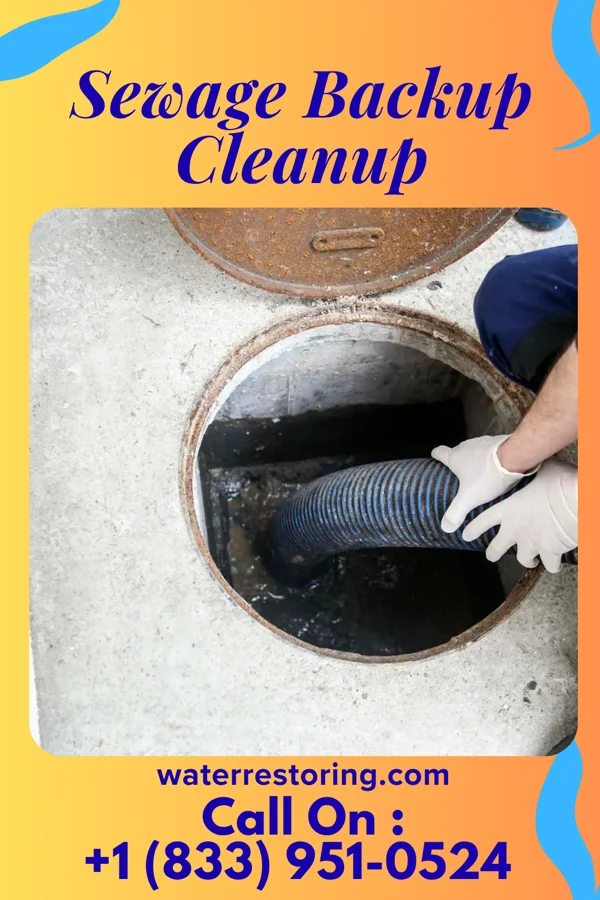 Sewage Backup Cleanup in Philo, IL
