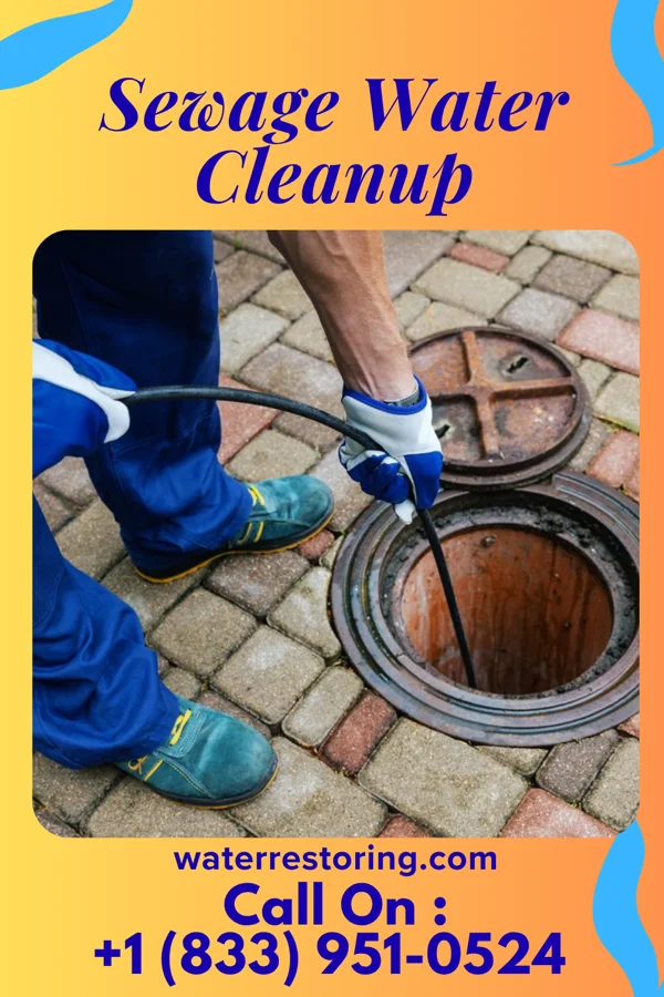 Sewage Water Cleanup in Philo, IL